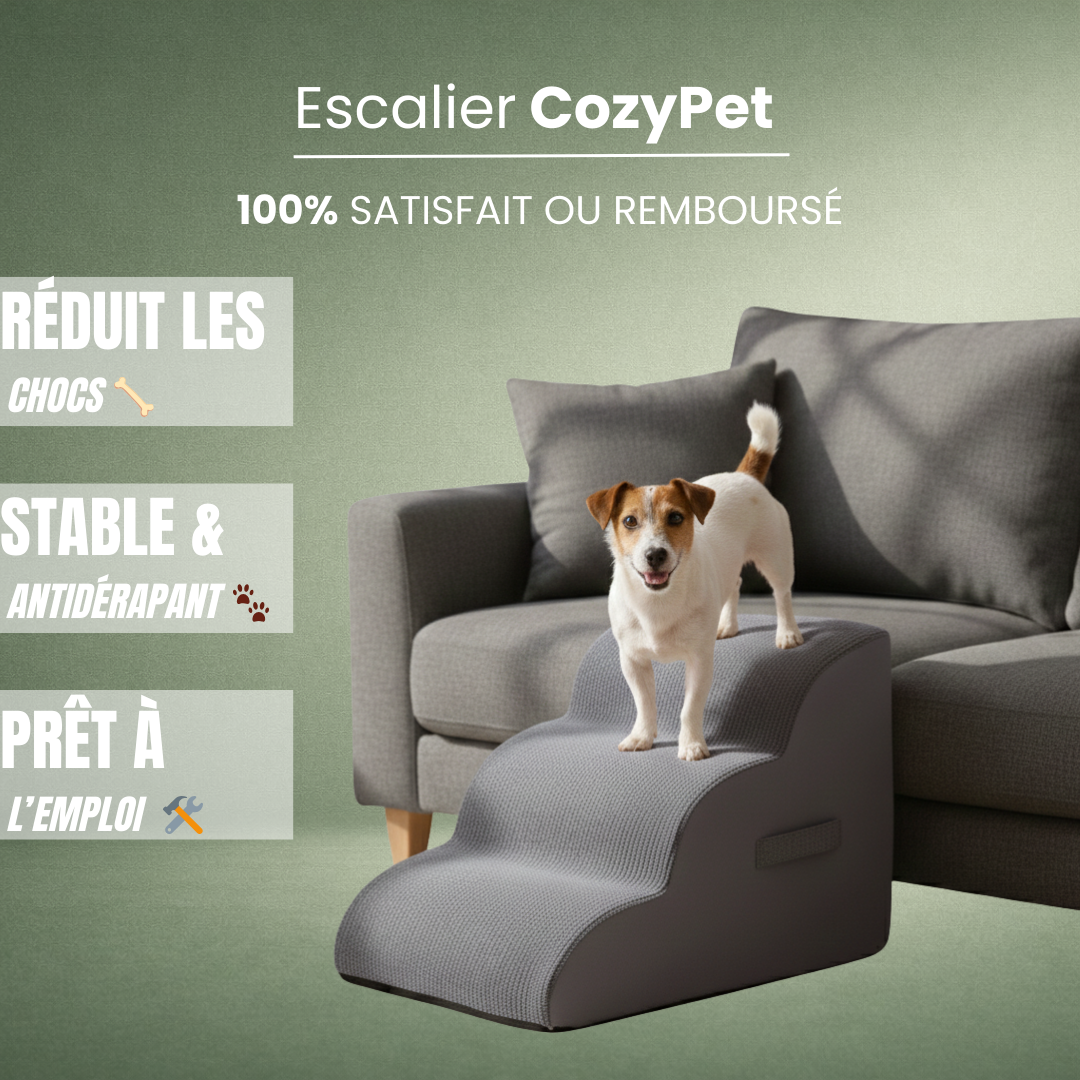 Escalier pour Chien Cozypet