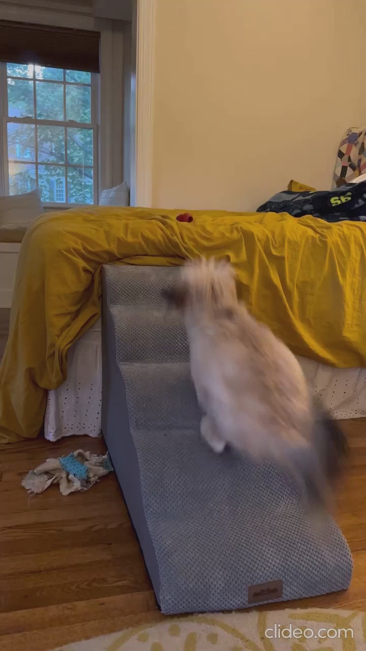 Charger la vidéo : 